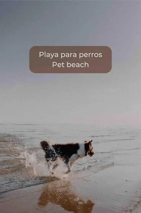 Lima Sorbet Nuevo Piscina Terraza Privada Y Wifi Daire Corralejo 0*,